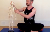 Yoga Anatomy Workshops