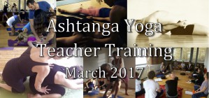 Yoga Teacher Training March 2017