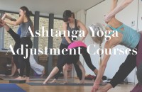 Ashtanga Yoga Primary Series Adjustment Training