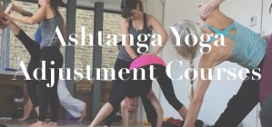 Ashtanga Yoga Primary Series Adjustment Training