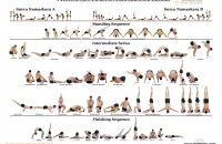 Download the Ashtanga Intermediate Series Chart – FREE