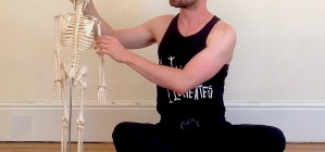 Yoga Anatomy Workshops